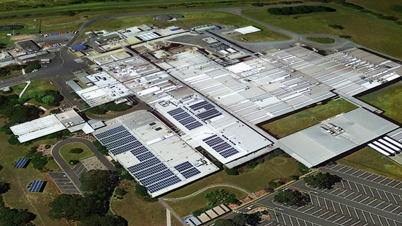 Image-Maltesers-Website-About-Flex7